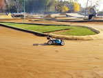 Click the picture for larger photo!