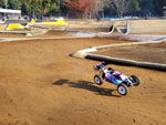 Click the picture for larger photo!