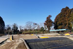 Click the picture for larger photo!