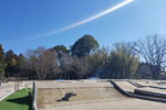 Click the picture for larger photo!