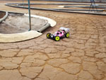 Click the picture for larger photo!