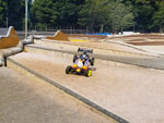Click the picture for larger photo!