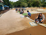Click the picture for larger photo!