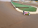 Click the picture for larger photo!