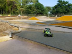 Click the picture for larger photo!