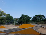 Click the picture for larger photo!