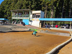 Click the picture for larger photo!