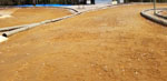 Click the picture for larger photo!