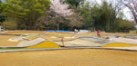 Click the picture for larger photo!