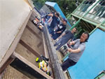 Click the picture for larger photo!