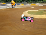 Click the picture for larger photo!