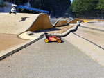 Click the picture for larger photo!