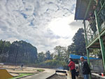 Click the picture for larger photo!
