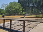 Click the picture for larger photo!