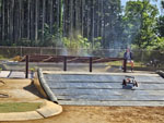 Click the picture for larger photo!