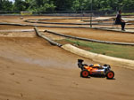 Click the picture for larger photo!