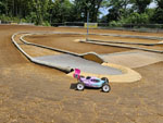 Click the picture for larger photo!
