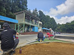 Click the picture for larger photo!
