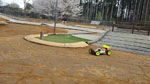 Click the picture for larger photo!