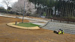 Click the picture for larger photo!