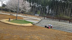 Click the picture for larger photo!