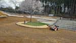 Click the picture for larger photo!