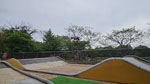 Click the picture for larger photo!